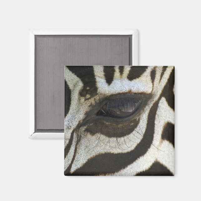Zebra Eye Magnet (Recto/Verso)