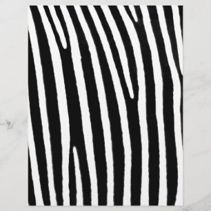 Zebra poster de animal