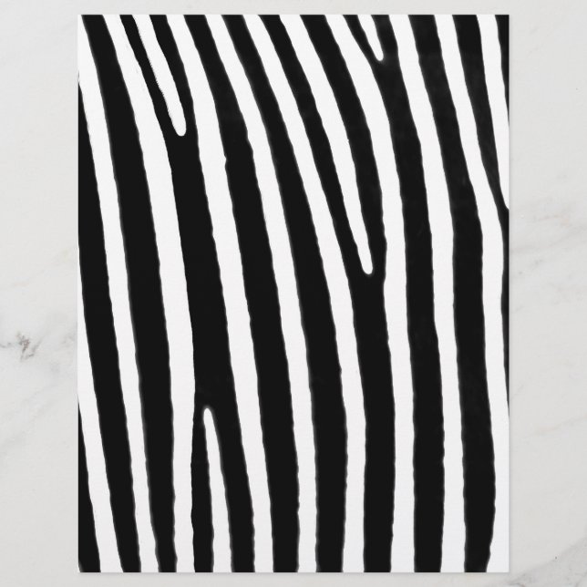 Zebra poster de animal (Devant)