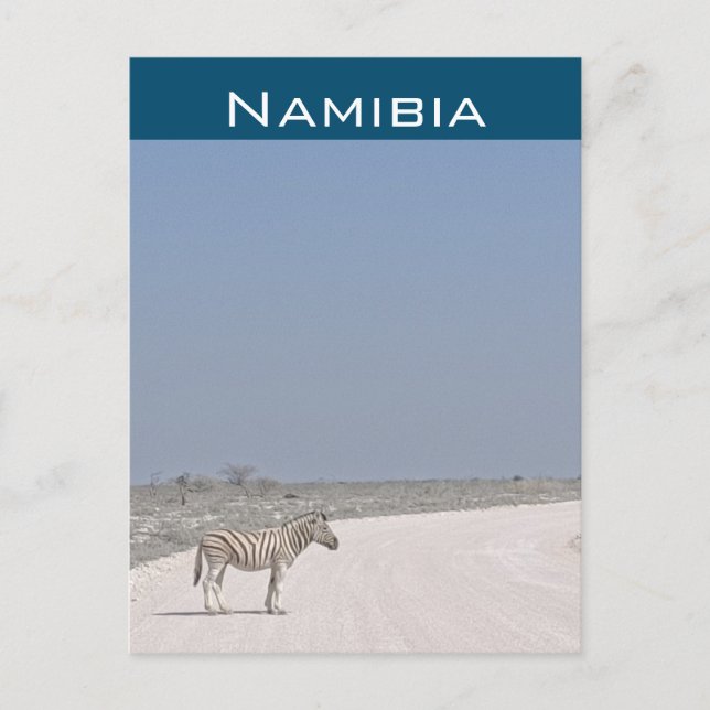 Zèbre, carte postale de Namibie (Devant)