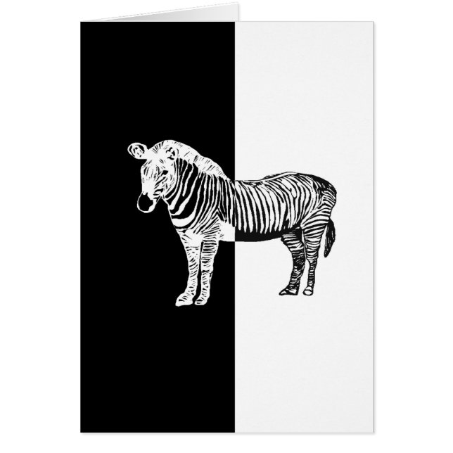 Zèbre noir et blanc (Devant)