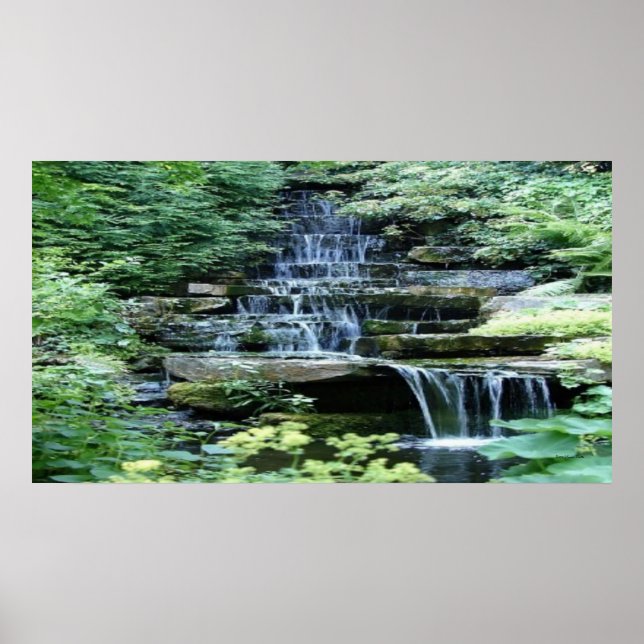 Zen  Poster (Devant)