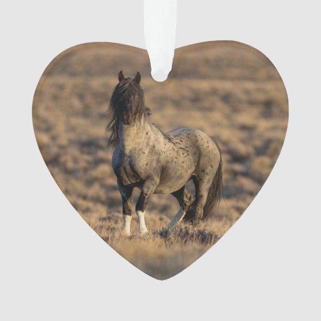 Zeus bleu à Dawn Wild Hoofbeats Ornament (devant)