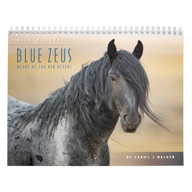 Zeus Bleu : Calendrier du coeur du désert Rouge (Protection)