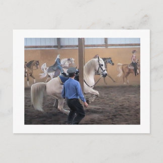 Zeus, Levade dans les piliers Carte postale