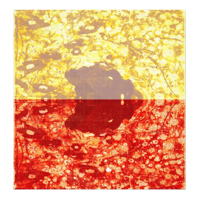 Zhao Chang - Photo du Nouvel An (Modifié) (Devant)