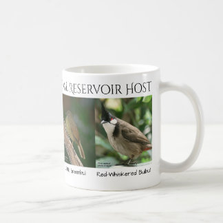 Zika en bulbuls Mug par RoseWrites