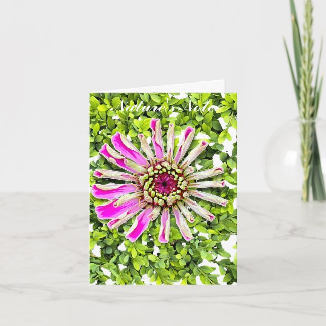 ZINNIA BOXWOOD PHOTO CARTE DE NOTE FLORALE (Devant)