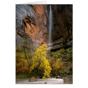Zion National Park, Utah. États-Unis. Éphémère