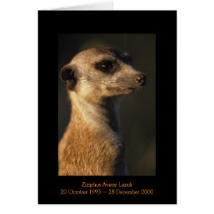 Ziziphus - carte de légendes