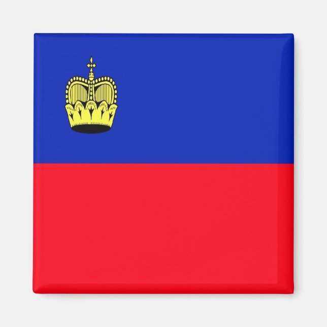 zLI001 FLAG of LIECHTENSTEIN - Fridge Aimant (Devant)