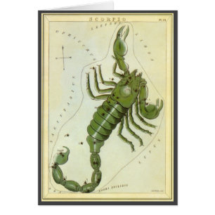 Zodiaque vintage, Astrologie Scorpio Constellation