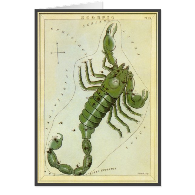 Zodiaque Vintage, Constellation Astrologique Scorp (Devant)