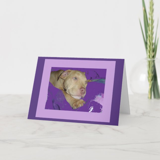Zoe avec la carte pourpre de frontière (Devant)