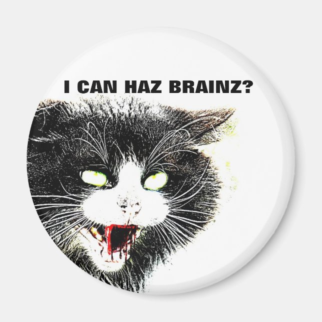 Zombie Chat I Can Haz Brainz Magnet (Devant)