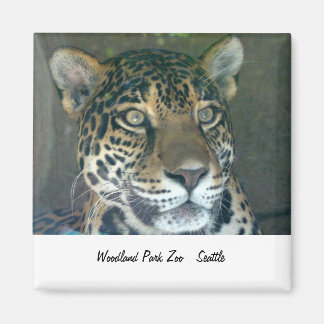 Zoo de parc Woodland Magnet de chat