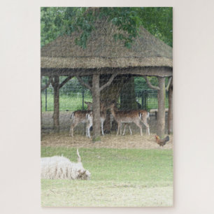 Zoo Puzzle : Deerpark