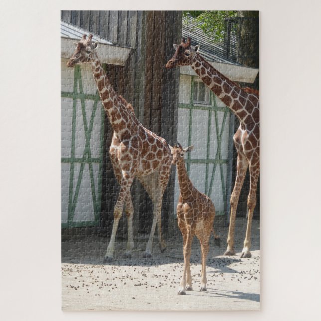 Zoo Puzzle : Giraffes avec bébé (Vertical)
