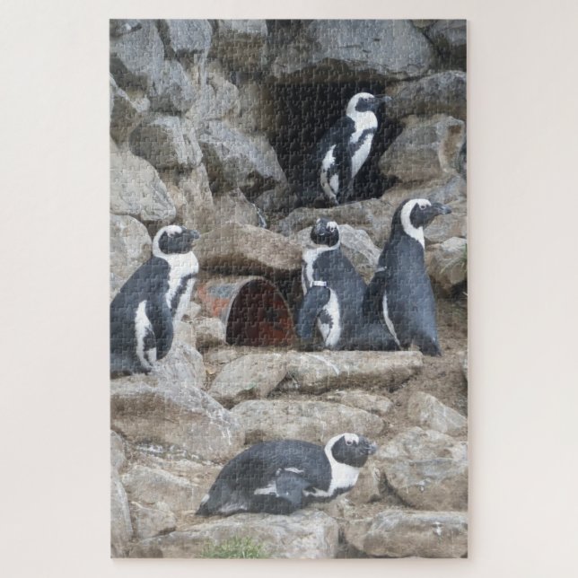 Zoo Puzzle : Pingouins mignons (Vertical)