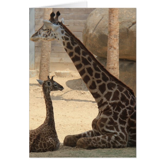 Zoo Series, Baby Giraffe et Maman (Devant)