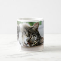 Zorro "je pense que je vais tasse avoir besoin que