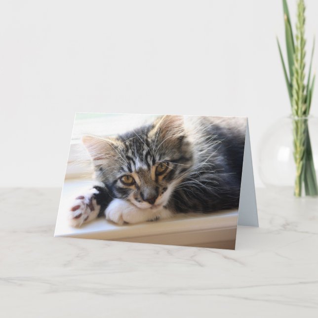 Zorro Par La Fenêtre Carte Anniversaire (Devant)