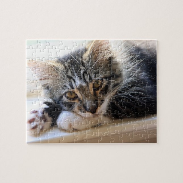 Zorro Par Le Puzzle Fenêtre (Horizontal)